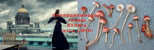 ешки Ахтубинск
